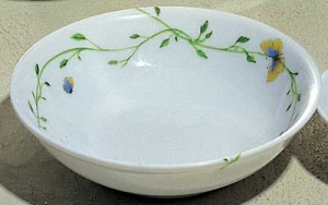 Raynaud Wing Song Soja Dish