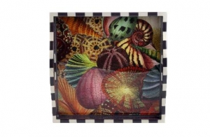 Annie Modica Conchology Square Tray