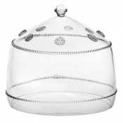 Isabella Large Cake Dome