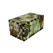 Annie Modica Turtle Shell Box