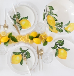 Vietri Limoni Collection