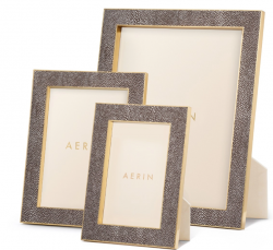 Aerin Classic Shagreen Frames