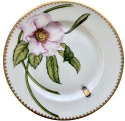 Anna Weatherley Peony Pink