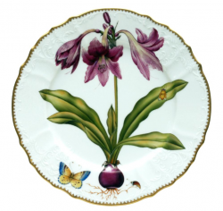 Anna Weatherley Flowers Of Yesterday Dinner Plates