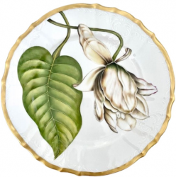 Anna Weatherley Magnolia