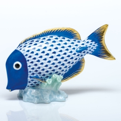 Herend Surgeonfish