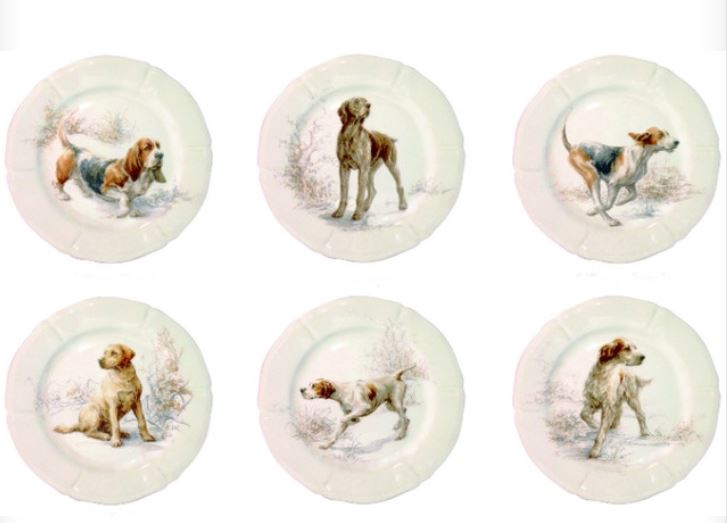 plates for dogs
