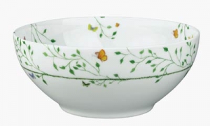 Raynaud Wing Song Salad Bowl