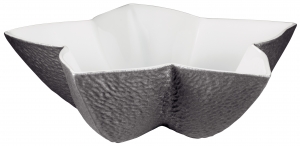 Raynaud Mineral Irise - Dark Grey Star Cup