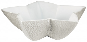 Raynaud Mineral Irise - Pearl Grey Star Cup