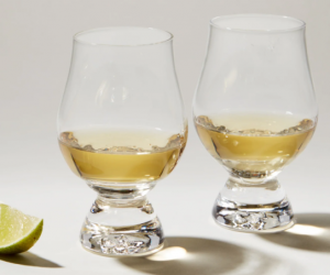 Simon Pearce Windham Tasting Glass - Set of 2