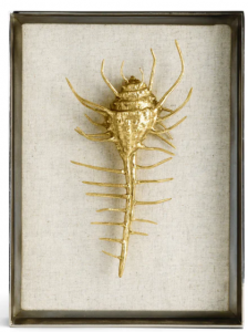 Michael Aram Venus Comb Shell Fabric Shadow Box