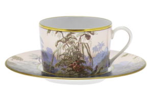 Haviland Le Bresil Teacup + Saucer