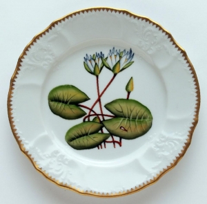 Anna Weatherley Seascape Waterlily Salad Plate