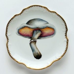 Anna Weatherley Forest Mushrooms Hors D'Oeuvre Plate  #1