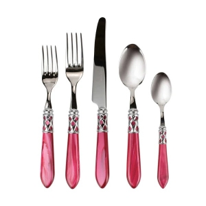 Vietri Aladdin Brilliant Raspberry 5 Piece Setting*