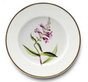 Alberto Pinto Botanique Charger - Dragons Head