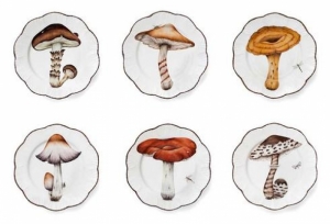 Alberto Pinto Champignon Dinner Plates - Set 6 Assorted Alberto Pinto Champignon Dinner Plates - Set 6 Assorted