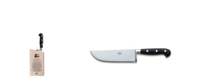 Berti Insieme Black Lucite Handle Pesto Knife