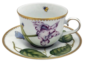 Anna Weatherley Studio Cup & Saucer