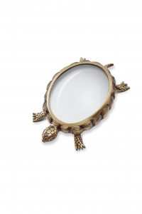 L'Objet Turtle Magnifier