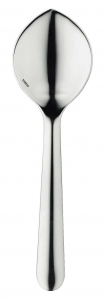 Ercuis Equilibre Stainless French Sauce Spoon