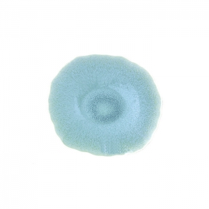Jars Plume Atoll/Blue Dessert/Plate - 8.1"