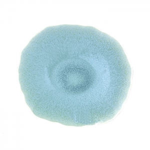 Jars Plume Atoll/Blue Dinner/Plate - 9.3"