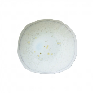 Jars Plume Nacre/White Dinner/Plate - 9.3"