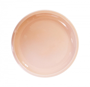 Jars Cantine Rose Buvard/Pink Dinner/Plate - 9.4 "