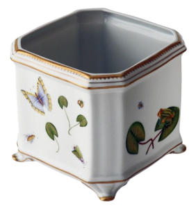 Anna Weatherley Frog Cachepot Square