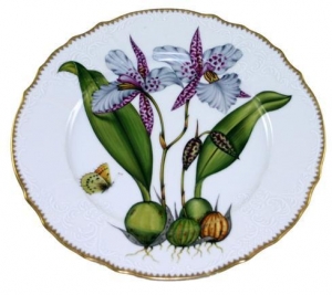 Anna Weatherely Orchids Dinner Plate #2
