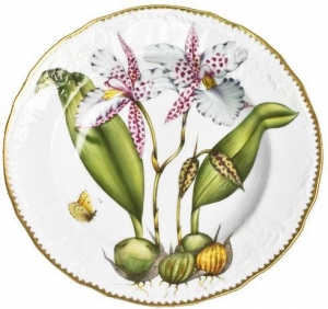 Anna Weatherely Orchids Rim Soup #2