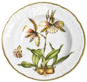 Anna Weatherely Orchids Rim Soup #4