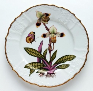 Anna Weatherely Orchids Dinner Plate #5