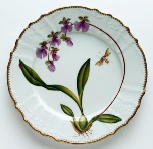Anna Weatherely Orchids Dinner Plate #6