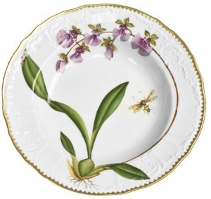 Anna Weatherely Orchids Rim Soup #6