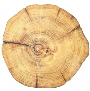 Kim Seybert Woodland Placemat Natural & Brown - Set 4
