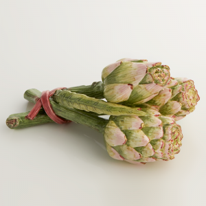 Mottahedeh Artichoke - Small Bunch