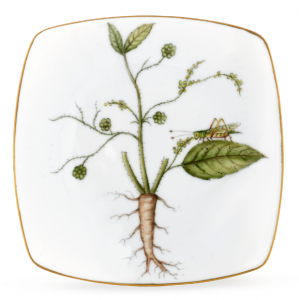 Anna Weatherley Anna's Garden Bread Plate