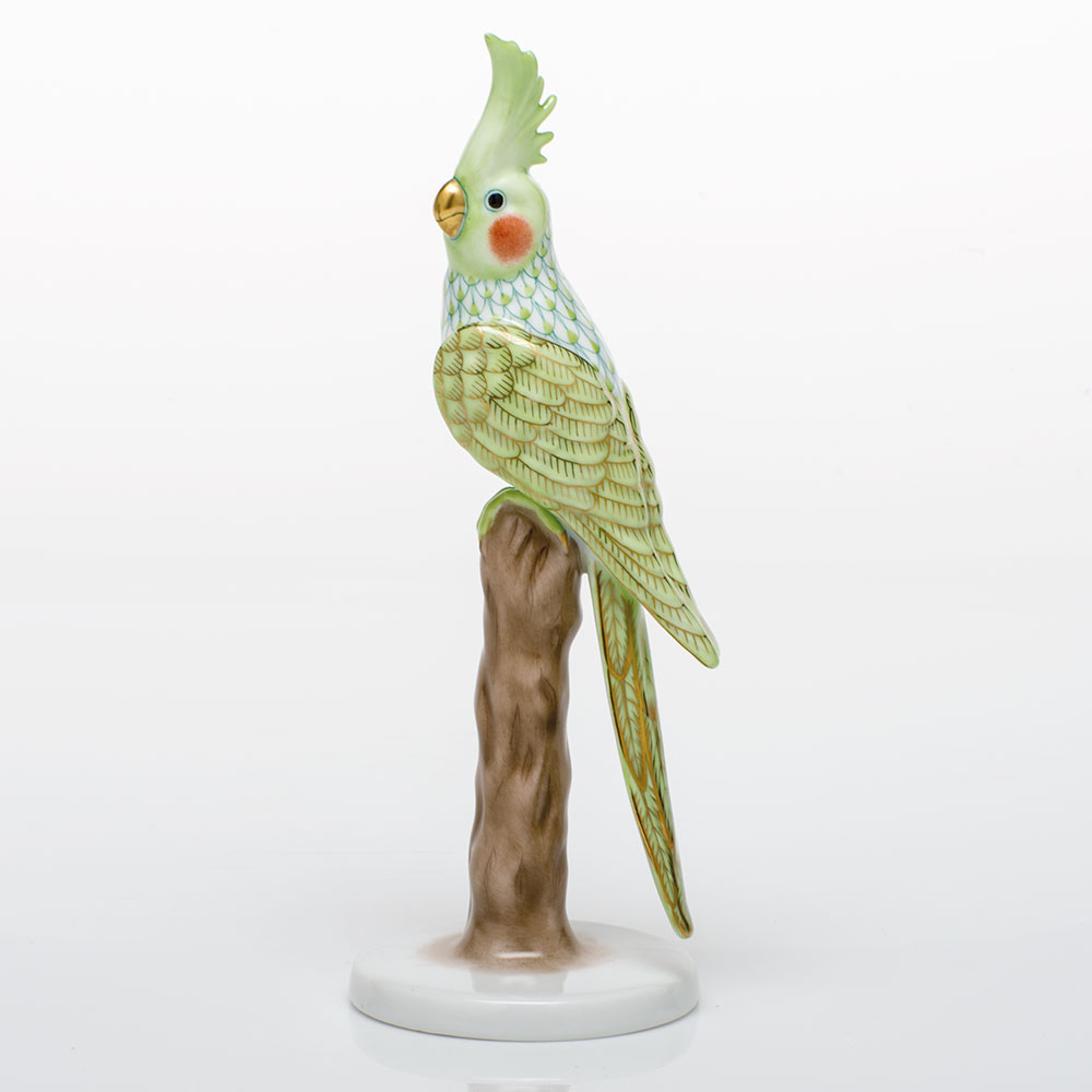 Cockatiel - Thumbnail 3