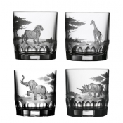 Varga Crystal Safari Double Old Fashion Boxed Set / 4 Assorted
