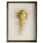Michael Aram Venus Comb Shell Fabric Shadow Box
