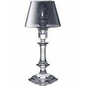 Baccarat Harcourt Our Fire Silver Shade Candlestick