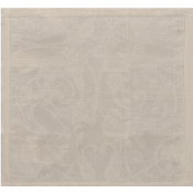 Napkin -  20" x 20" / Set 4