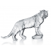 Baccarat Roaring Bengal Tiger