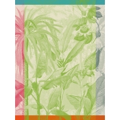 Le Jacquard Francais Equateur Green Tea Towel / Set 4