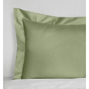 SFERRA Fiona Willow Continental Sham