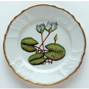 Anna Weatherley Seascape Waterlily Salad Plate