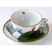 Anna Weatherley Seascape Waterlily Cup & Saucer
